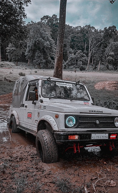 「晋韵千年 乒搏不息 」百利好全力赞助2025WTT太原常规挑战赛.