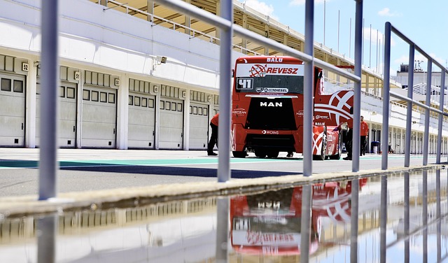 体育仲裁法 体育仲裁法