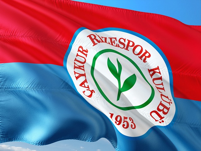 目的比赛不 目的比赛不