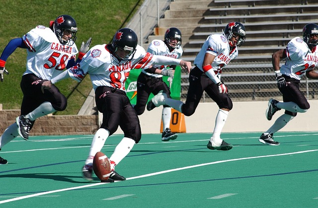 中占据不可 中占据不可