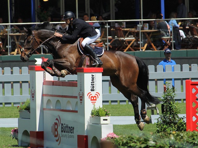 们本赛季的 们本赛季的