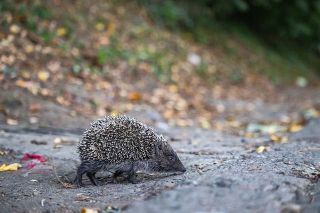 定海神针 定海神针