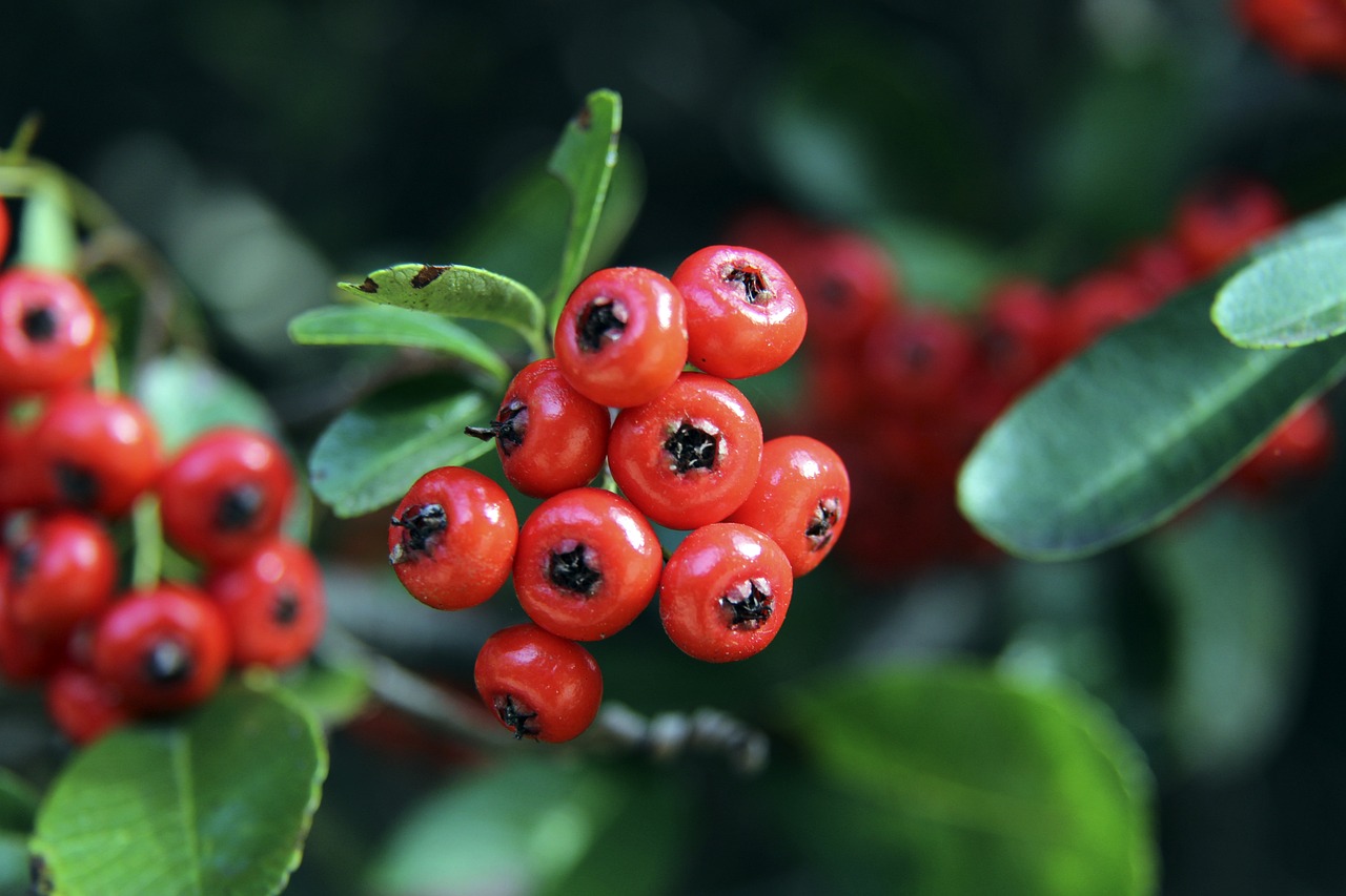 超凡实力 超凡实力