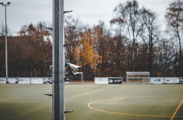 来发展的肯 来发展的肯