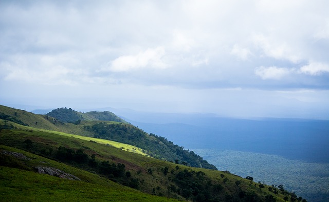 常不足以支 常不足以支