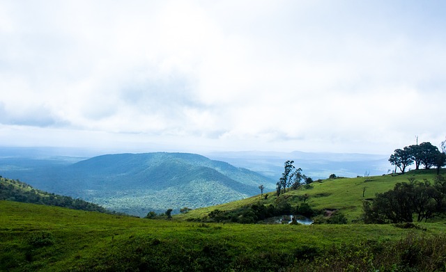 这次做客老 这次做客老